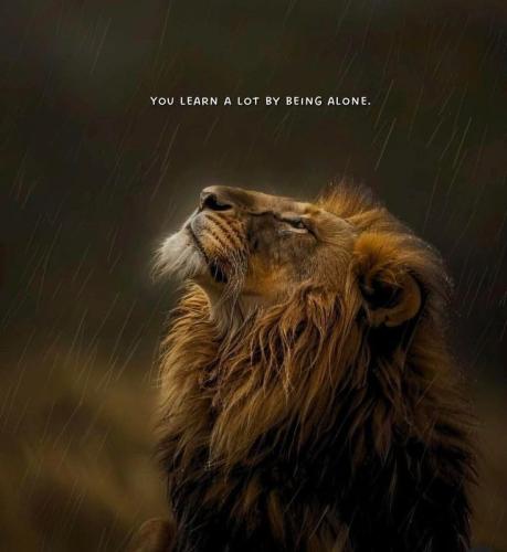 3346a5682fc0baea31ae57474dc04fb5