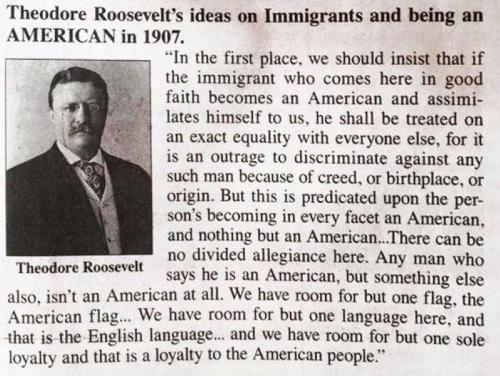 Theodore Roosevelt 1