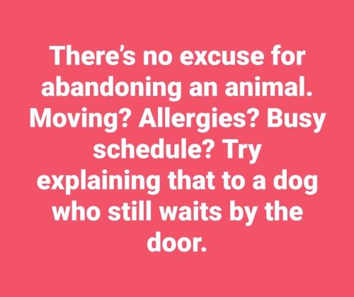 Screenshot_20250618_005548_Facebook