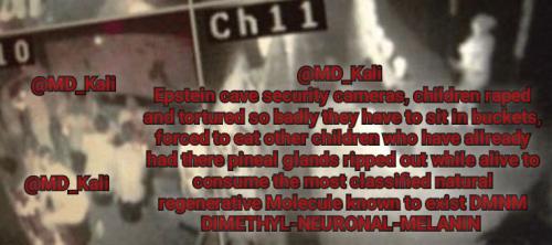 IMG_20250713_103807_607