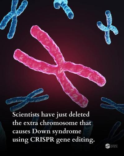 82bfd7e4-b199-4776-ad54-d2756a795480