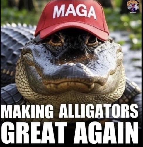 3859891f-453e-4c81-88f9-9623b3f6c064