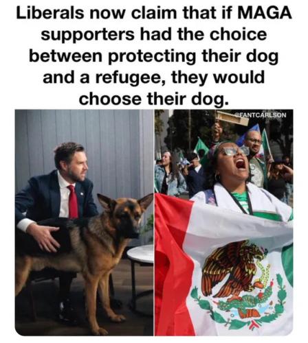 maga-protect-dog