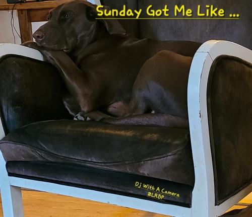 Screenshot_20250713_063207_Gallery