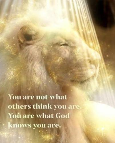 b41fee69821f4740f8e0909be1ec0c32