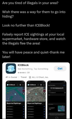 image_2025-07-03_064417481