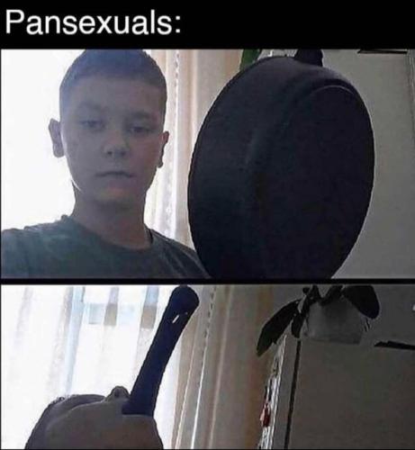 pansexuals