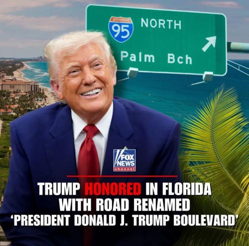 CA4D9C8D-5635-4E24-BDCA-E28ED50383BB