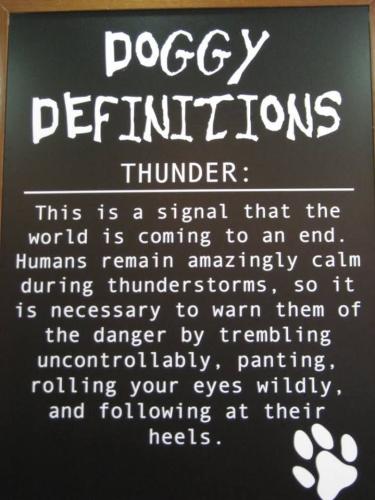 6b7cb8317fb48af188a170379a452a91