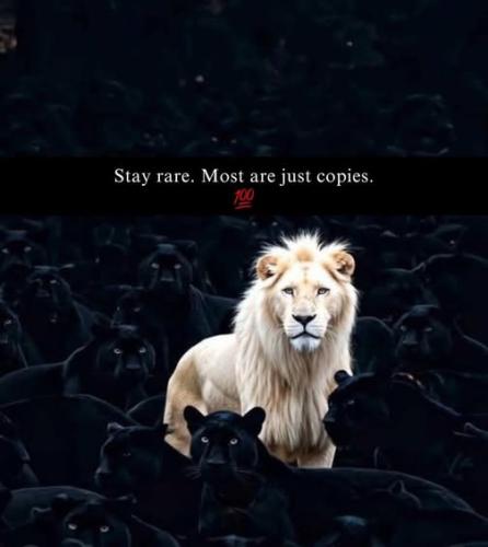 526086087_1476673003327342_4340195229693450419_n