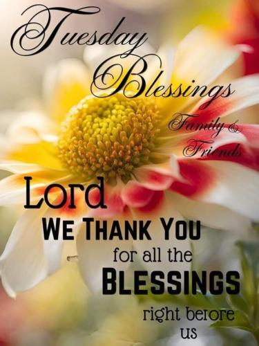 516747984_752561243944891_6100948826570258415_n