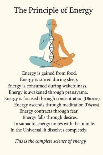 517144737_758006590085602_6982376946858198381_n