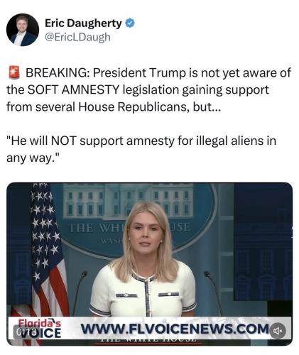 A Illegals 1