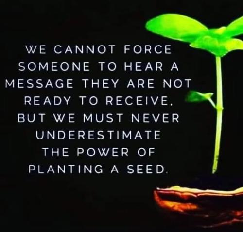 515056229_741877522061776_7247845315726186186_n