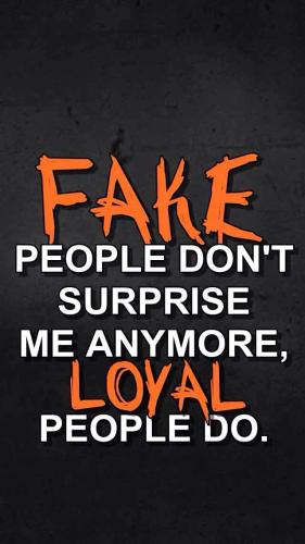 4472cf1978dd74afaa0460828263c0d2