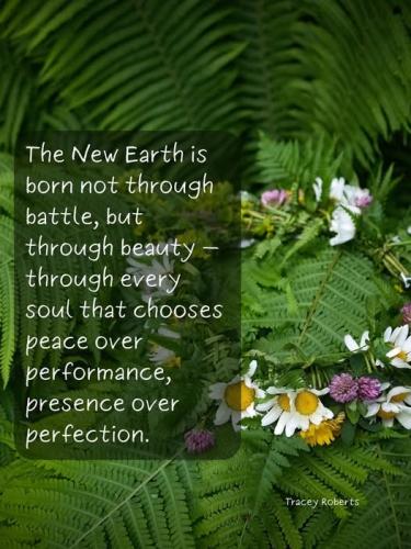 508458986_1542712876688624_4571220079666003412_n