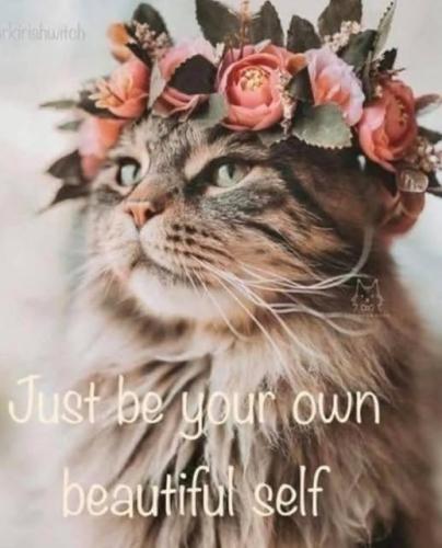 522716479_122220359738088259_1874756429597626293_n