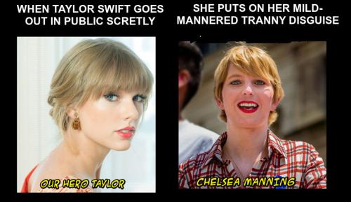 taylor-chelsea