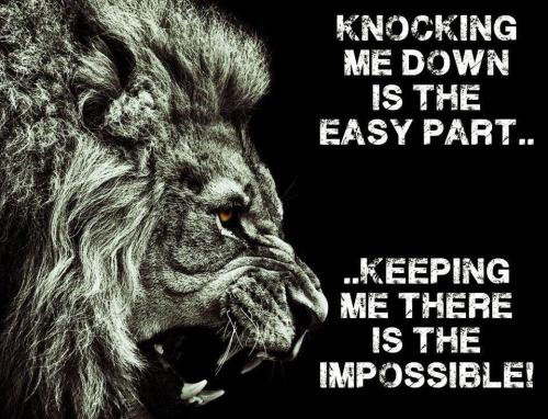 e08b987a47bbde1696a74339ab6de17f