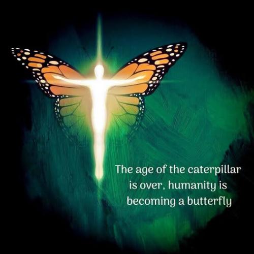 516447808_24242025288717025_705788479412819066_n