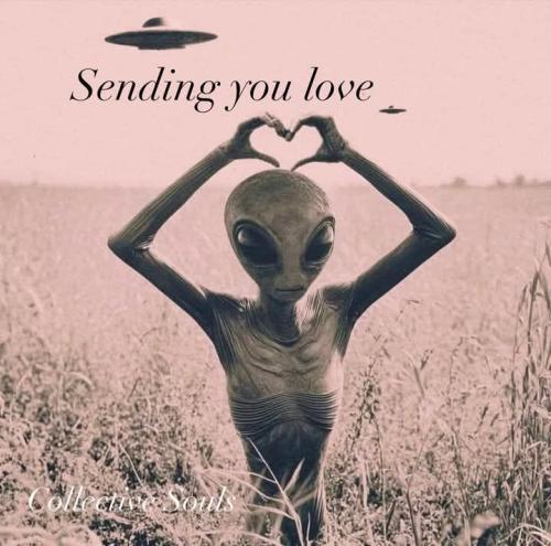 10b161a000ff8617b023e77c1cef2c46