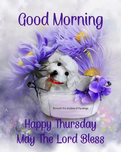 525393077_18019140830743683_5081319137768498828_n