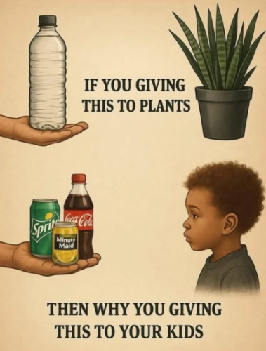 Screenshot 2025-07-03 092948