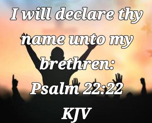 d6ea384b-7f12-4b92-828a-1f88c7cf491a