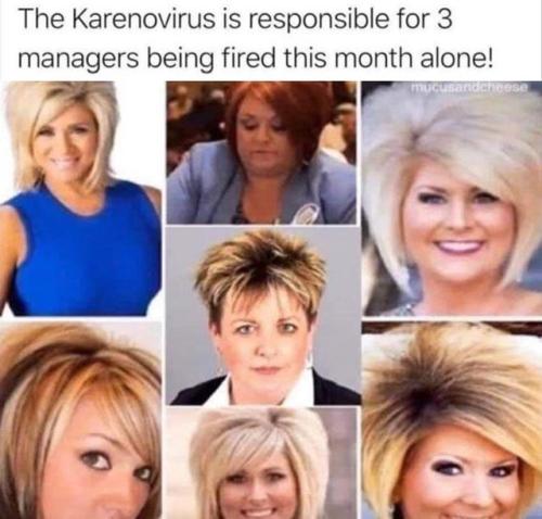 karenovirus