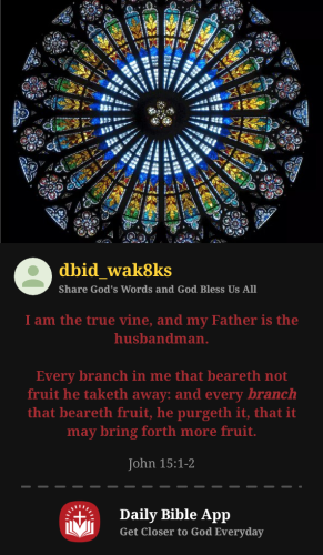 2025-07-141752520295228