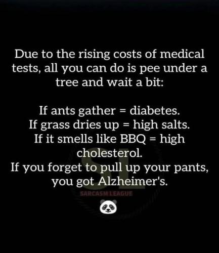 519393890_749105348005660_5059185528814471467_n