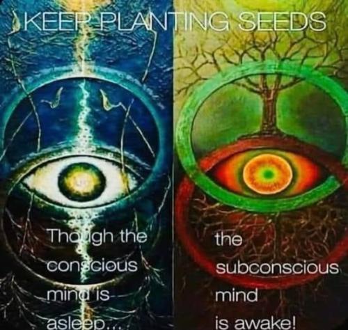 518876799_750329001216628_3432687491916566584_n