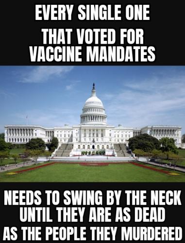 ZomboMeme 08072025005511