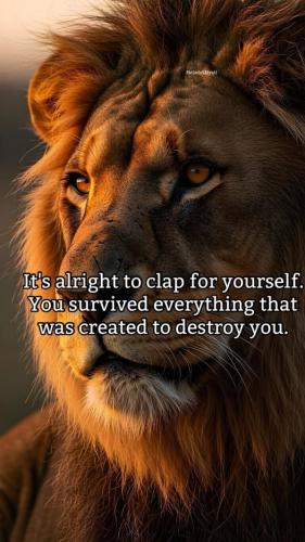 509955876_9384754214958108_779158879493284079_n