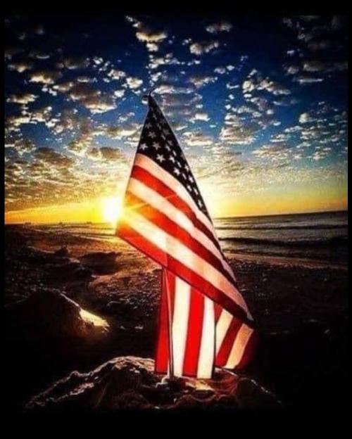 Screenshot_20240615_030348_Photos