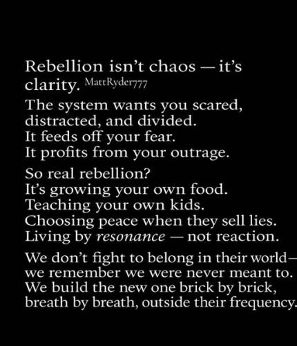 517080977_1276766857268203_5652729873428618058_n