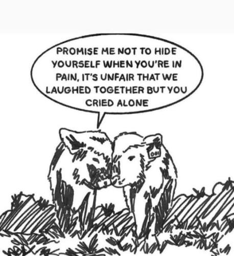 519502197_751955904387271_7864263995286331873_n