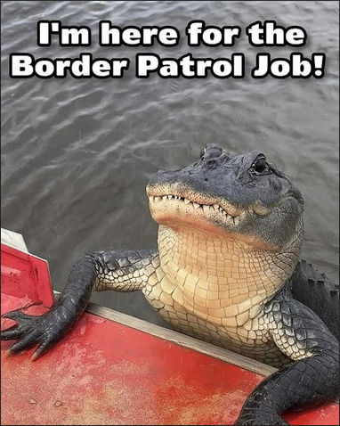 allagator alcatraz00