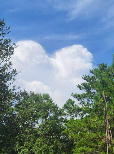 521693265_10230591890206550_7885334688485523791_n