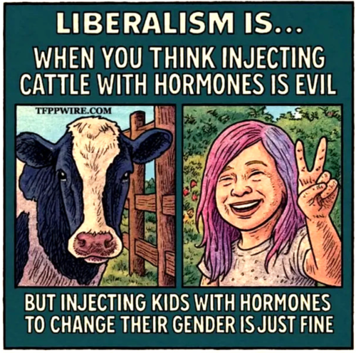 Screenshot 2025-07-24 171822