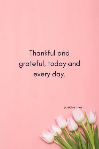 522658717_1182252237264365_2716231167914891471_n