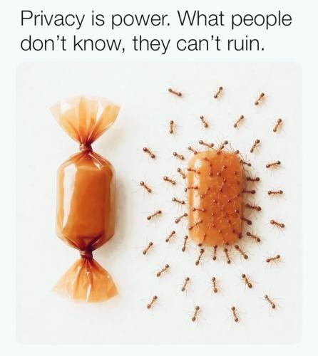 9f7ffa6700e3a2b98706fe573570cced