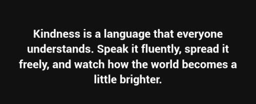 Screenshot 2025-07-01 11.46.22 PM