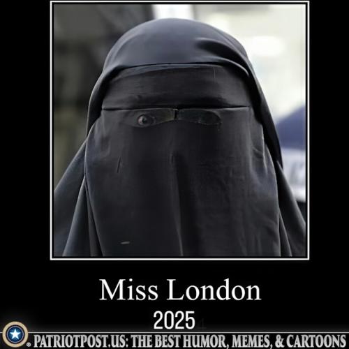 01K0C8R2C6RWVTT14AP5HEE3W5