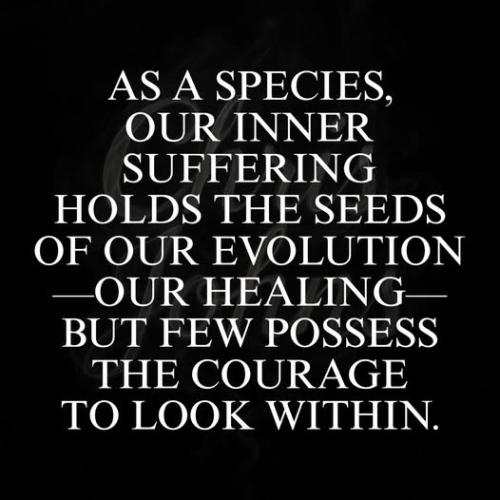 524756394_4111344629153212_1214053786170374147_n