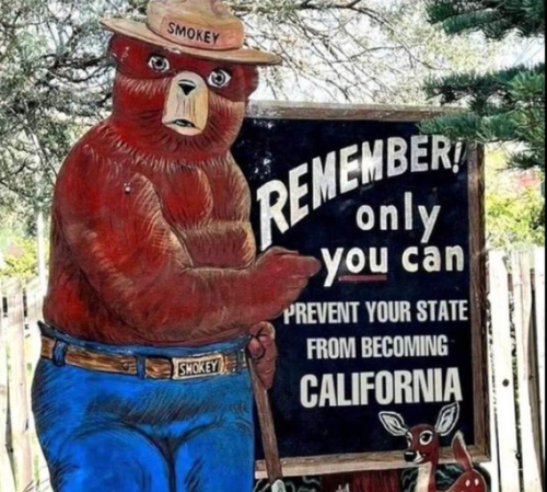 e7876f102eb5d608b211eaedcd4dcf19