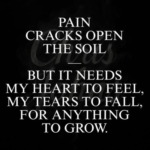 524896800_4111579272463081_8080934066375452633_n