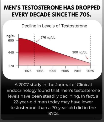 photo_2025-07-16_19-20-33