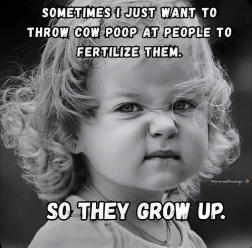 518273578_1179944970843532_7710151976232431029_n