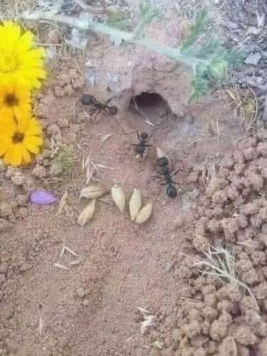 1daa6610-eab4-4335-bfcb-d5e7bce9d491